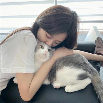 暴走报告第二季